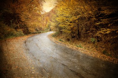 sonbahar Forest road eğme, vintage fotoğraf