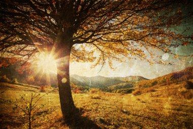 Lonely beautiful autumn tree - vintage photo clipart