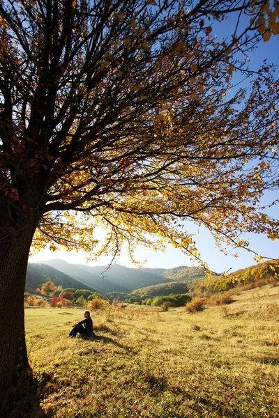 Solitaire bel arbre d'automne et un homme — Photo