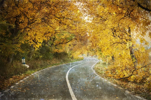 Foto vintage de la carretera curva en el bosque de otoño — Foto de Stock