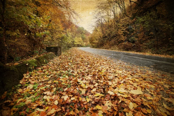 Oldtimer-Foto von geschwungener Straße im herbstlichen Wald — Stockfoto