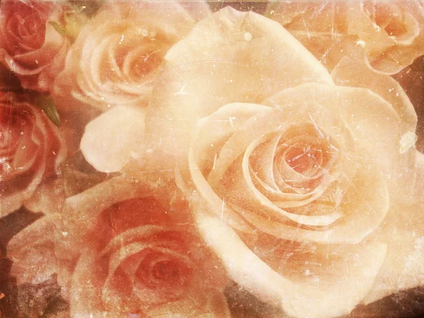 Foto vintage de rosas — Foto de Stock