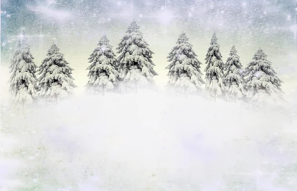 Licht bokeh abstracte Kerstmis achtergrond met besneeuwde sparren — Stok fotoğraf