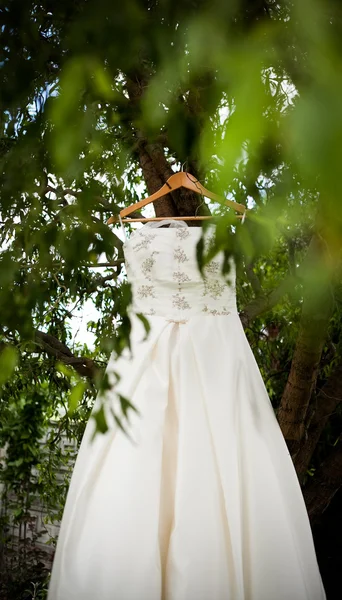 Svatební šaty visící na stromě — Stock fotografie