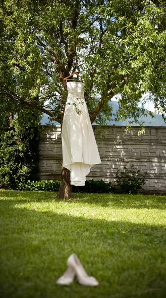 Wedding dress hanging on a tree — Stock Photo, Image