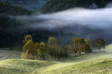 dağ manzarası, sis, gündoğumu