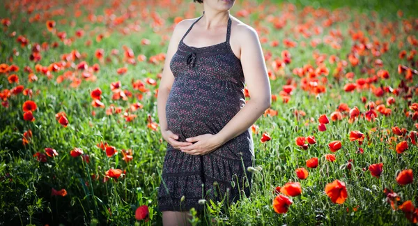 Νεαρή έγκυο στο πεδίο παπαρούνας — Φωτογραφία Αρχείου
