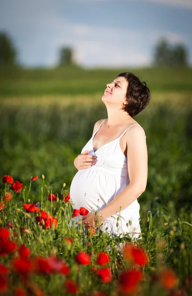 Giovane donna incinta nel campo di papavero — Foto Stock