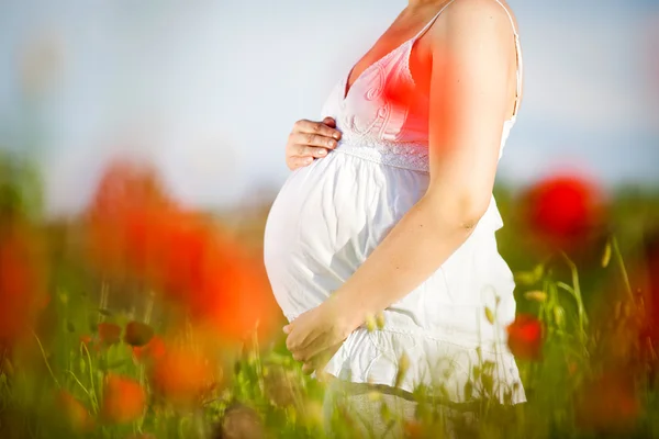 Young pregnant woman in poppy field — Stock Photo, Image