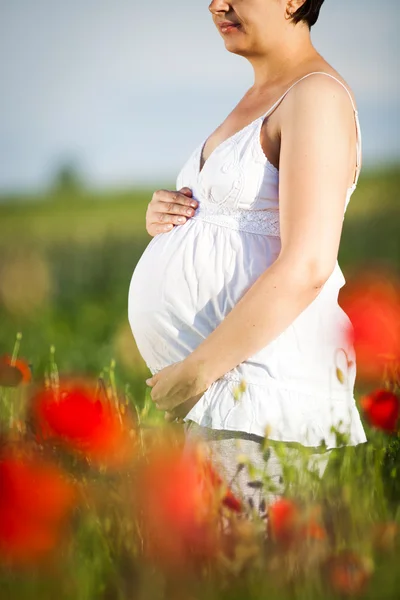 Young pregnant woman in poppy field — Stock Photo, Image