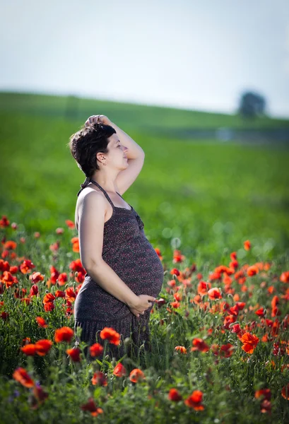 Wanita hamil muda di ladang opium — Stok Foto