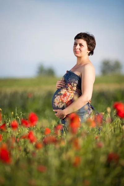Young pregnant woman in poppy field — Stock Photo, Image