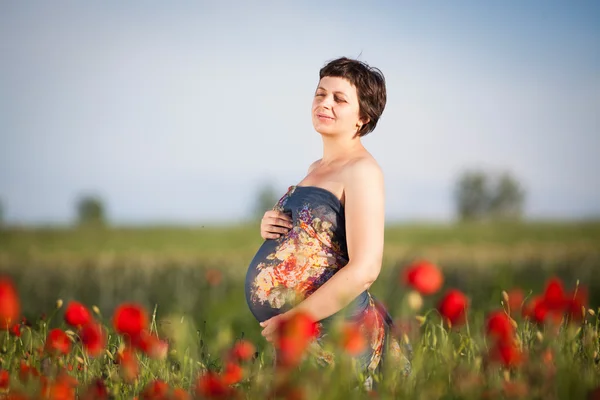 Young pregnant woman in poppy field — Stock Photo, Image