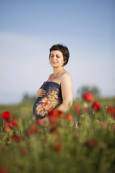 Jeune femme enceinte dans le champ de pavot — Photo