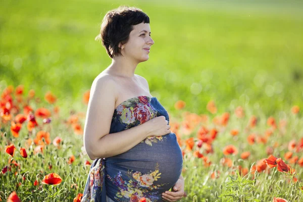 Young pregnant woman in poppy field — Stock Photo, Image