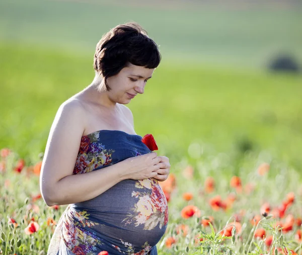 Femeie însărcinată în câmp de mac — Fotografie, imagine de stoc