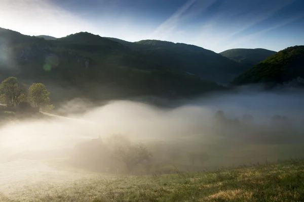 Горный пейзаж в тумане на восходе солнца — стоковое фото