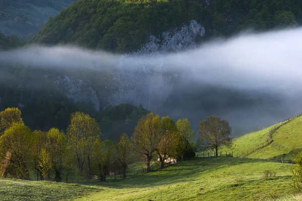 Górski krajobraz we mgle na wschód — Zdjęcie stockowe