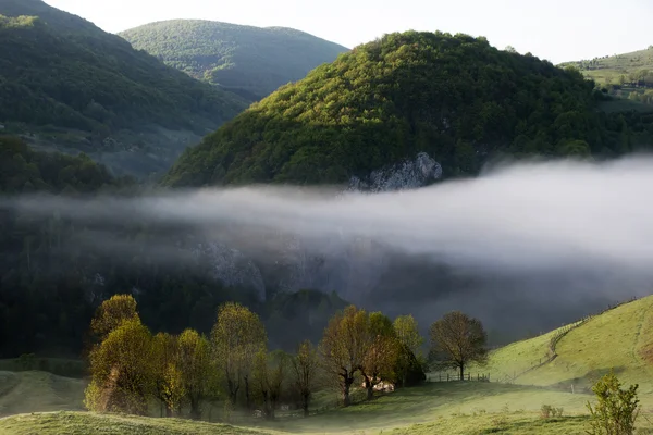 Bergslandskap i dimma på sunrise — Stockfoto