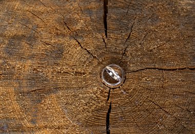 Alyanslar ahşap arka planda