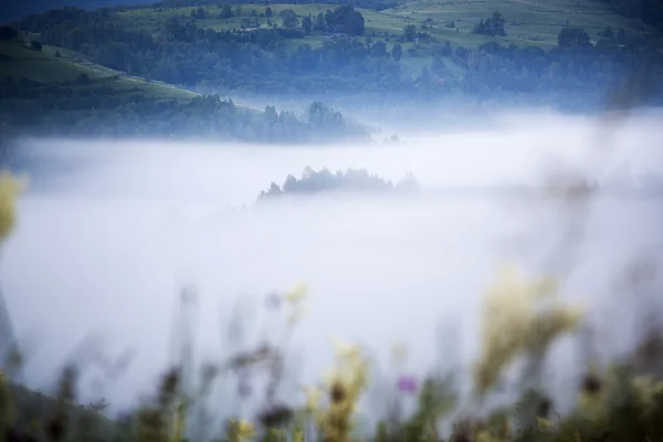 Mountain landscape in mist at sunrise — Stock Photo, Image