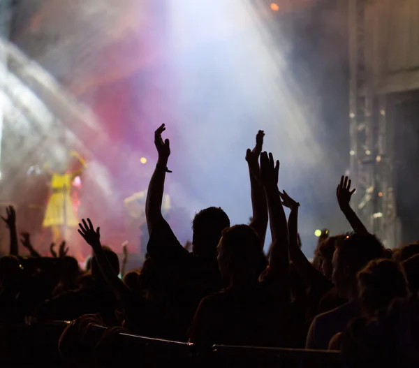 Crowd at concert — Stock Photo, Image