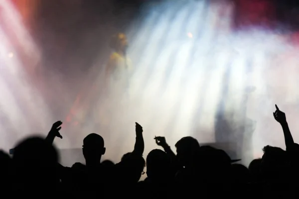 Crowd at concert — Stock Photo, Image