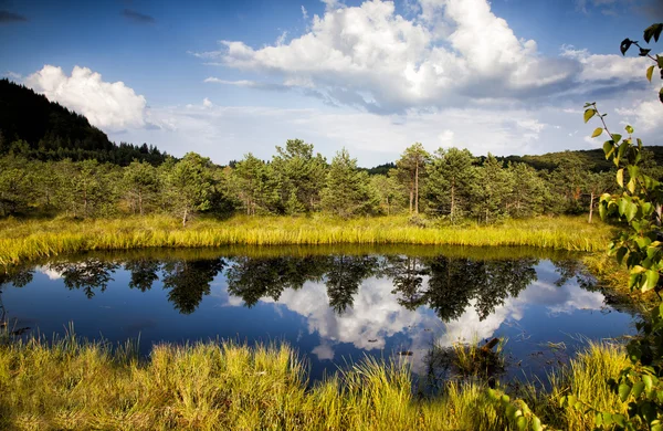 dağ gölü yansımalar