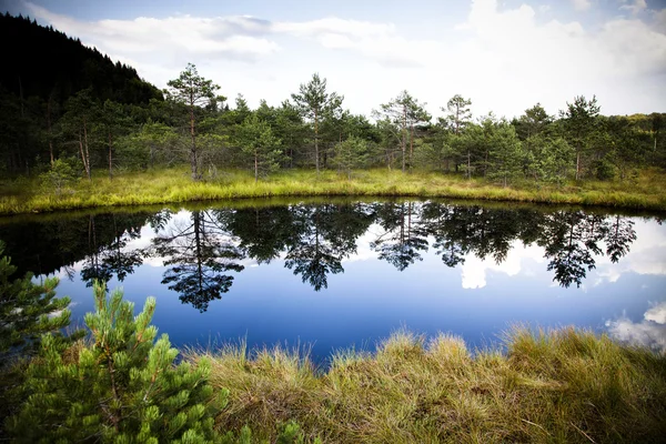 Mountain lake reflections — Stock Photo, Image