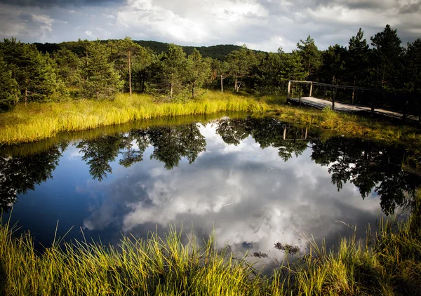 Montanha lago reflexões — Fotografia de Stock