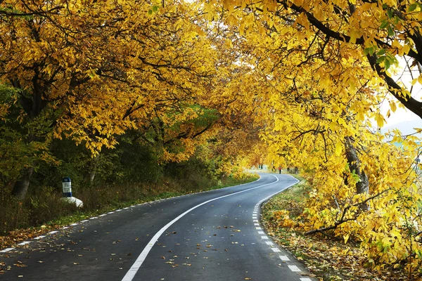 Ένα πολύχρωμο κάμπτοντας φθινόπωρο δρόμο — Φωτογραφία Αρχείου