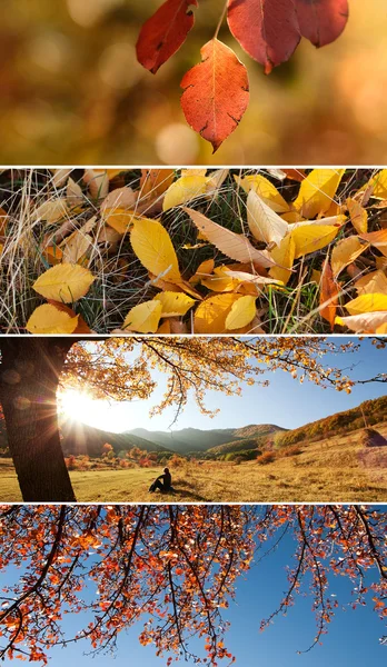 Jesienny kolaż — Zdjęcie stockowe