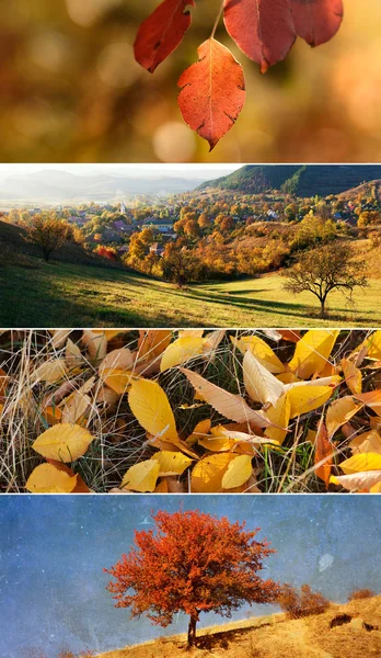 Collage de otoño — Foto de Stock