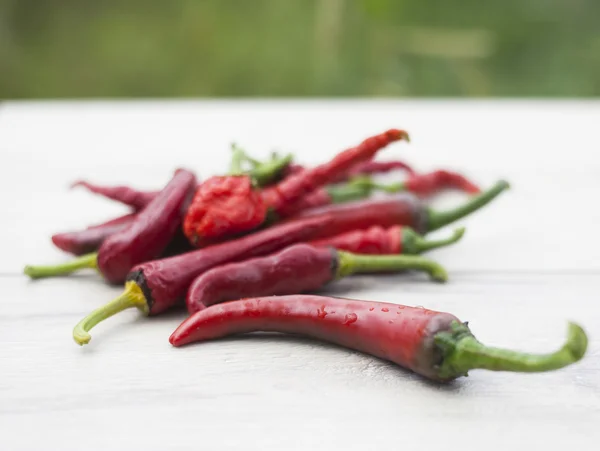 Rote Chilischoten — Stockfoto