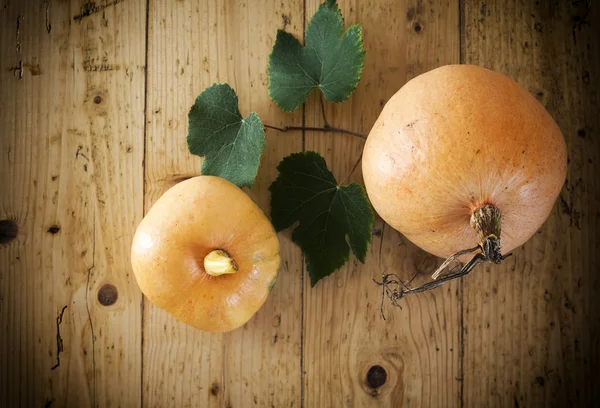 Calabazas sobre fondo vintage de madera —  Fotos de Stock