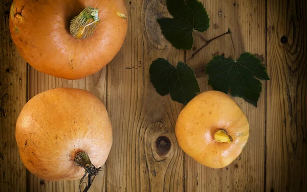 Calabazas sobre fondo vintage de madera —  Fotos de Stock