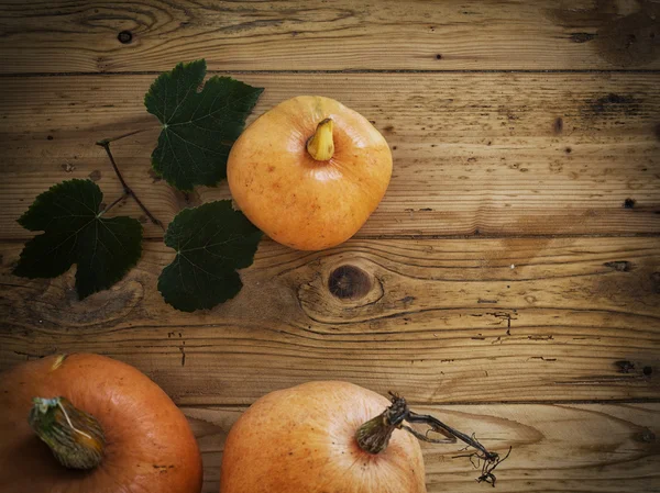 Calabazas sobre fondo vintage de madera —  Fotos de Stock