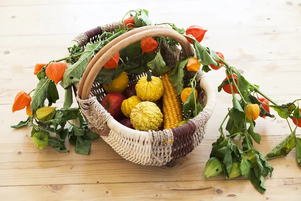 Autumn basket with pumpkins, apples, corn and physalis — Stock Photo, Image