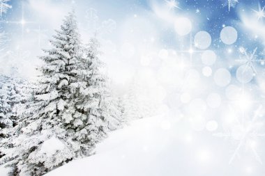 Noel arka plan karlı köknar ile
