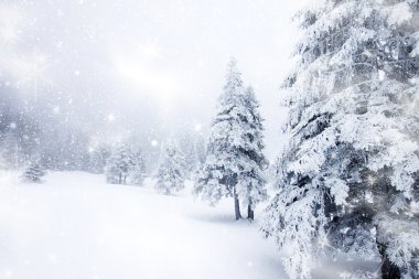 Noel arka plan karlı köknar ile