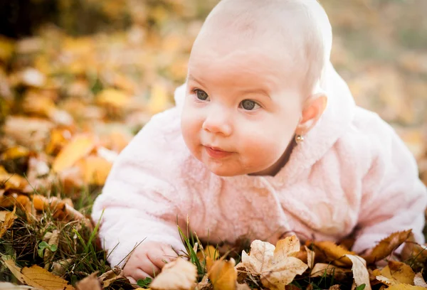 Дитяча дівчинка на осінньому листі — стокове фото