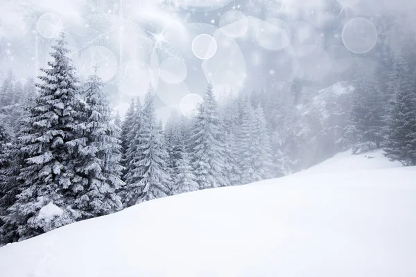 Χριστούγεννα φόντο με χιονισμένα έλατα — Φωτογραφία Αρχείου