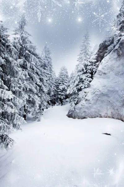 Jul bakgrund med snötäckta granar — Stockfoto