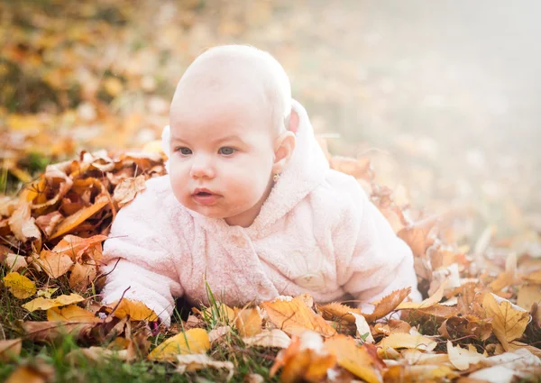Κοριτσάκι σε Φθινοπωρινά φύλλα — Φωτογραφία Αρχείου