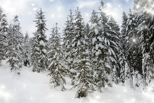 พื้นหลังคริสต์มาสกับต้นเฟอร์หิมะ — ภาพถ่ายสต็อก