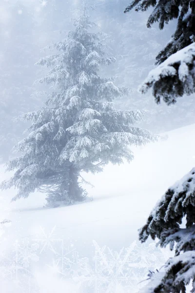 Weihnachten Hintergrund mit schneebedeckten Tannen — Stockfoto