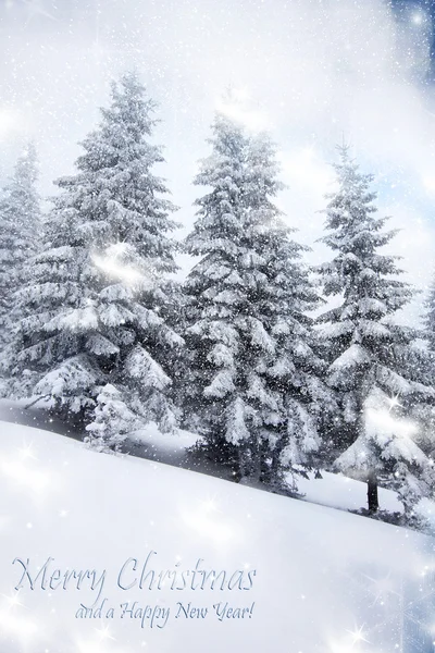 有白雪杉树的圣诞背景 — 图库照片