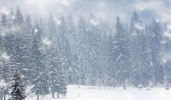 Fond de Noël avec sapins neigeux — Photo