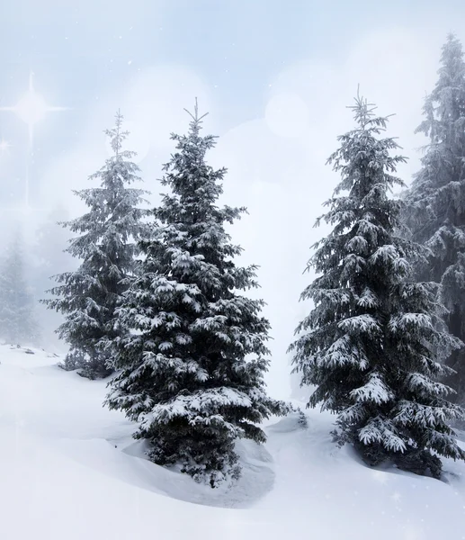 Kerst achtergrond met besneeuwde dennenbomen — Stockfoto