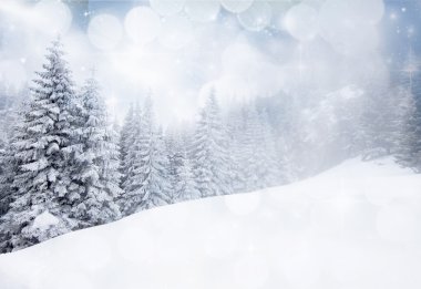Karlı köknar ağaçları ile Noel arkaplanı